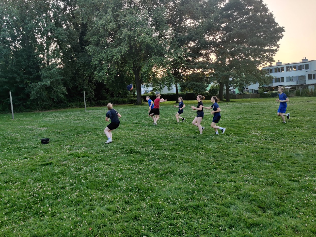 Kwallenballen